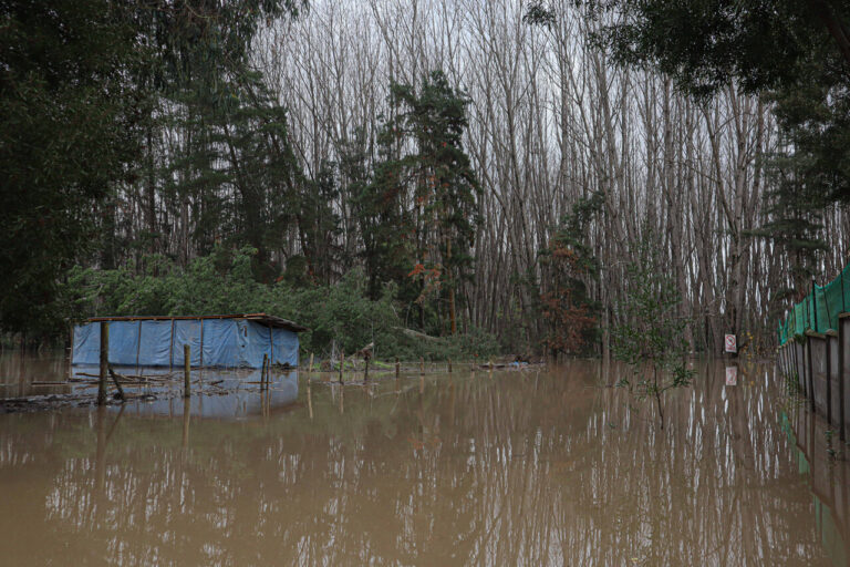 Senapred solicita evacuación y activa alerta SAE por desborde del Río Pichilo