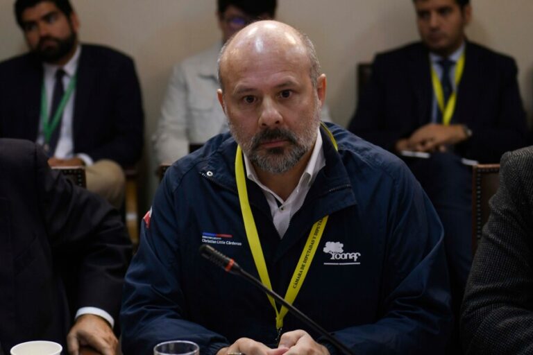 Diputados RN piden destitución del director de Conaf por gestión en megaincendio de Valparaíso: 