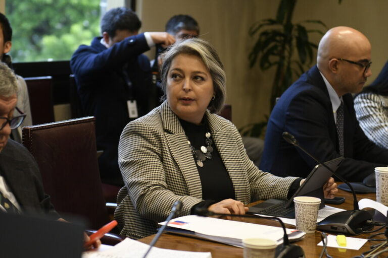 Ministra Jara insiste en que 