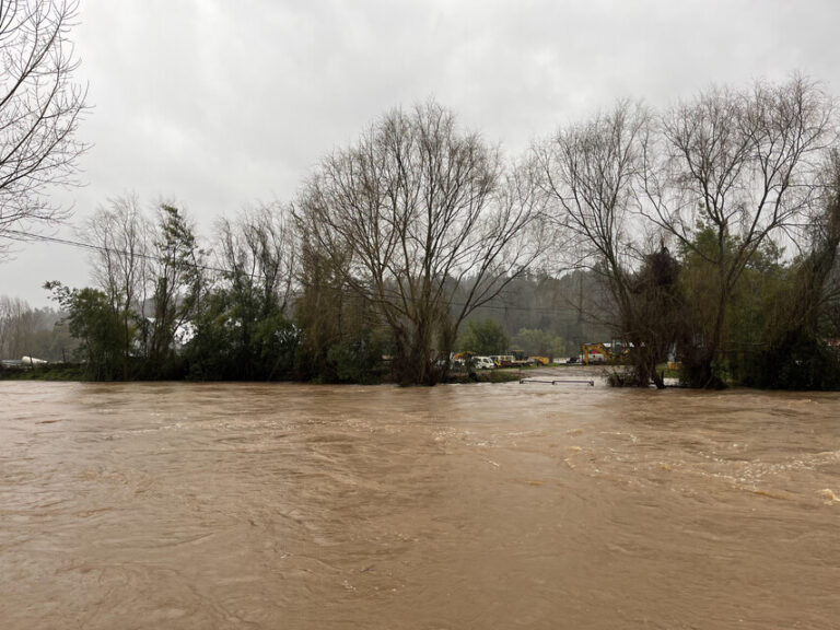 Alcaldesa de Curanilahue habló sobre situación comunal tras desborde de río
