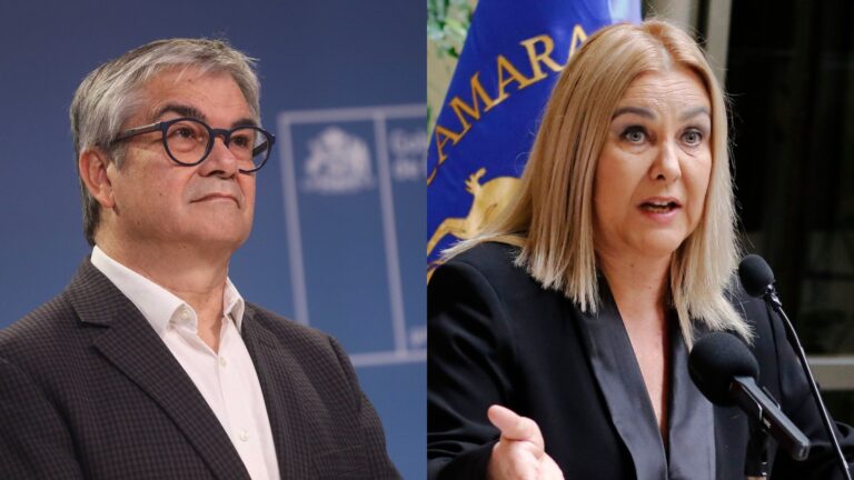 Marcel critica insistencia de diputada Jiles sobre retiro de las AFP: 