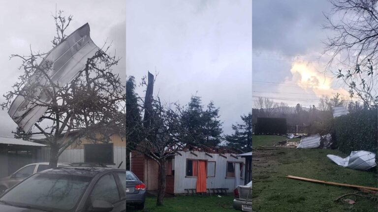 Reportan paso de tornado en Malalhue: Hay casas sin techos y árboles caídos