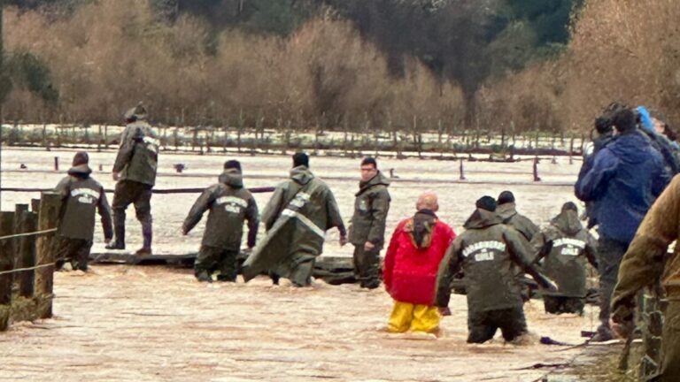 Sistema frontal: Emiten alarmas meteorológicas para Ñuble y Biobío por intensidad de vientos y precipitaciones