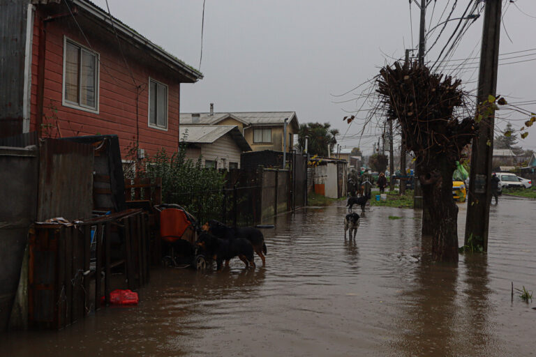 Gobierno realiza despliegue inmediato de ministros al Biobío por sistema frontal