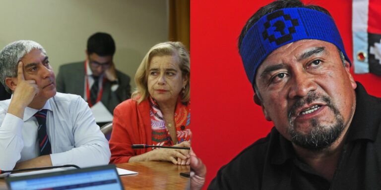 Tras huelga de hambre de Llaitul: UDI exige al Gobierno interponer recurso de protección para obligarlo a comer