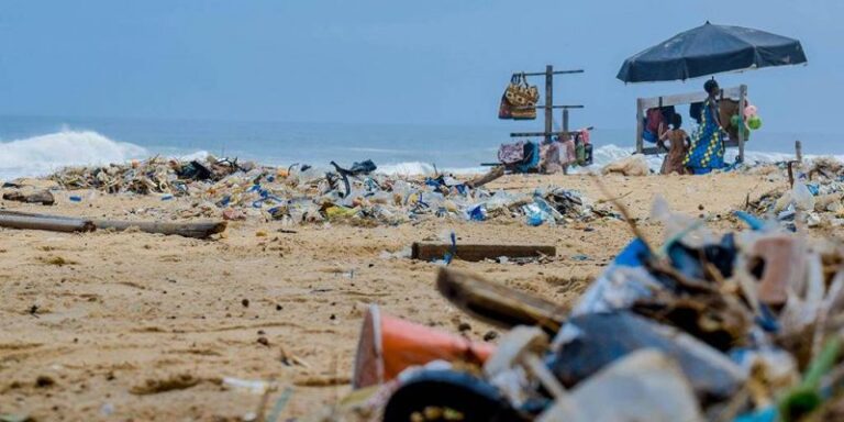 Científicos de la Universidad de Chile desarrollan películas biodegradables con cáscaras de huevo para reducir el uso de plásticos