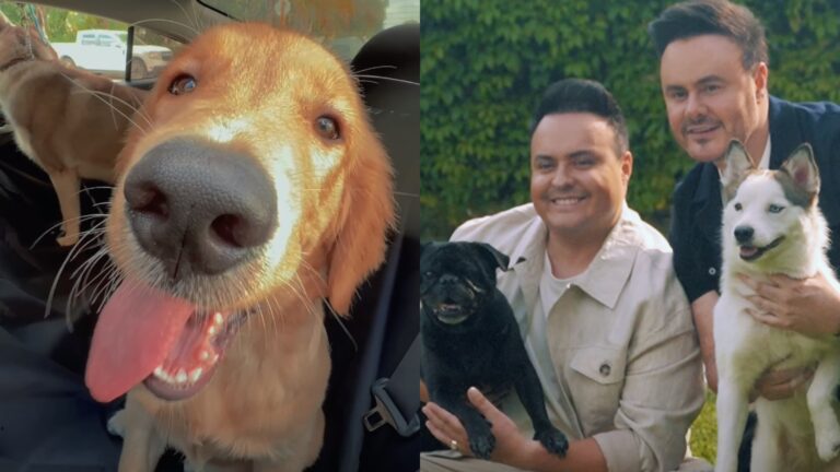 Río Roma rinde homenaje a las mascotas y concientiza sobre el maltrato animal con su nueva canción 