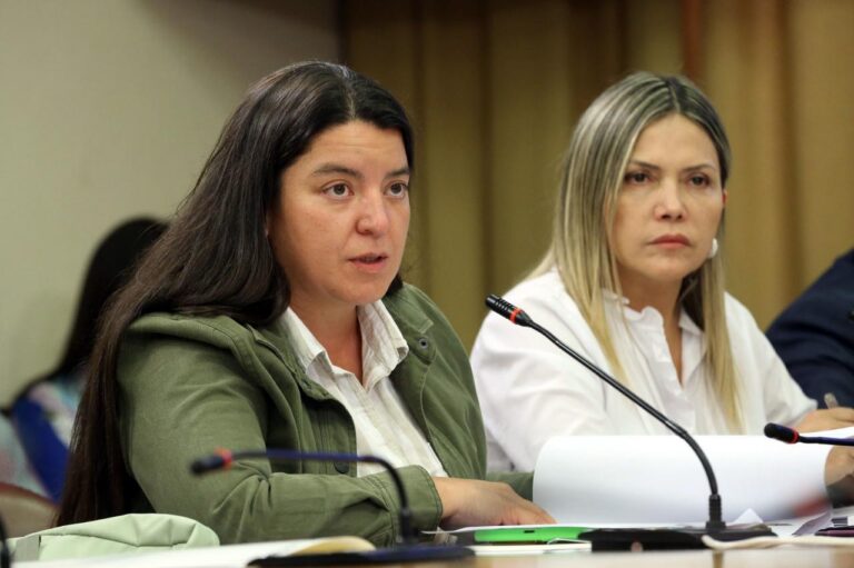 Diputadas UDI exigen al Gobierno propuestas concretas ante alza en tarifas de luz: 