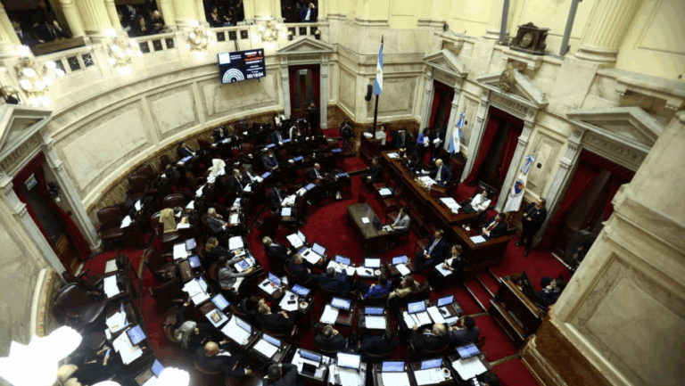 En medio de violentas protestas: Senado argentino aprueba en general la Ley de Bases impulsada por Javier Milei