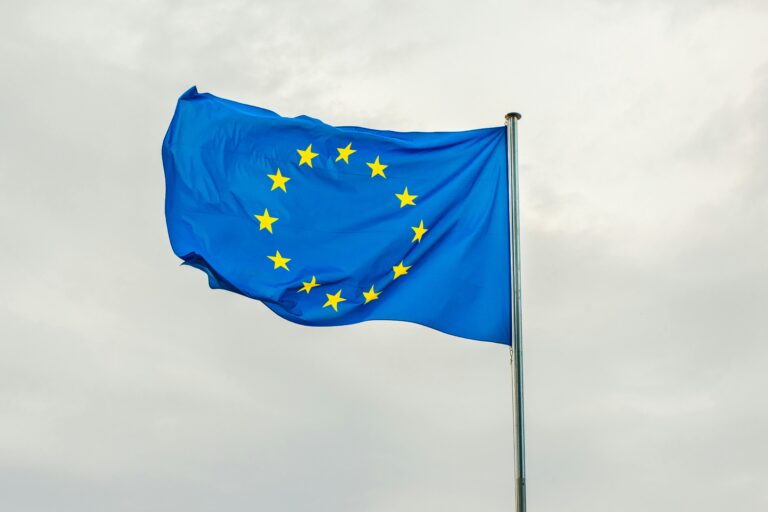 Paulina Astroza y los resultados de las elecciones en el Parlamento Europeo: 