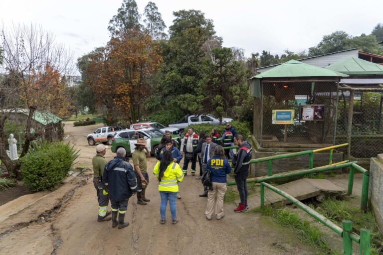 PDI investiga ataque en zoológico de Quilpué: Murieron 20 ciervos y 2 pavos reales
