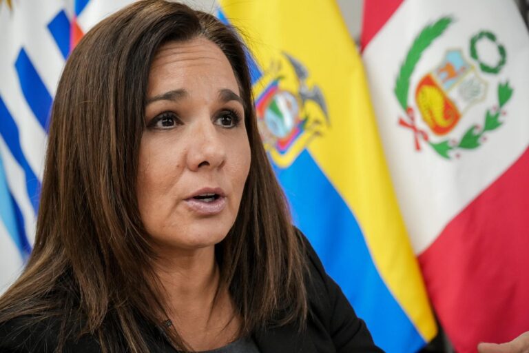 Chile llama a reforzar la colaboración en el Mercosur para enfrentar al avance del crimen organizado