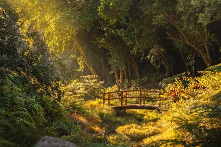 Premio Traveler’s Choice 2024: Parque chileno es elegido como uno de los destinos naturales más populares del mundo
