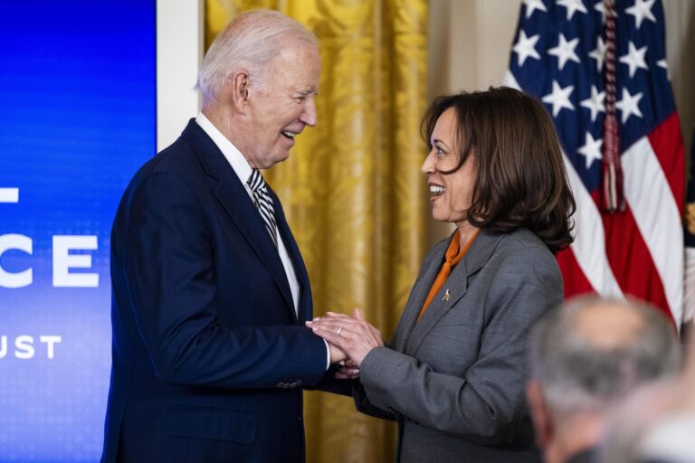 ¿Cómo es el proceso para elegir al sucesor o sucesora de Biden?
