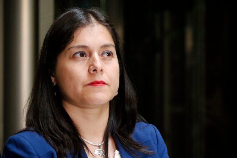 Tras mortal balacera en Lampa: Diputada Medina solicita al SII y UAF investigar compra de propiedades por extranjeros