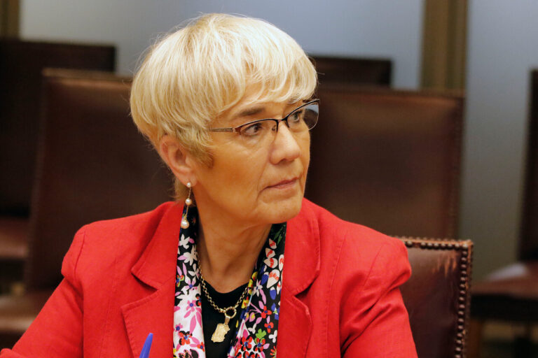 Ebensperger critica falta de obligatoriedad de voto extranjero: 