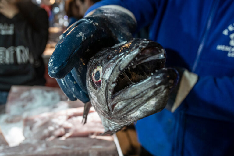 Fundación Veg defiende polémica indicación sobre peces: 