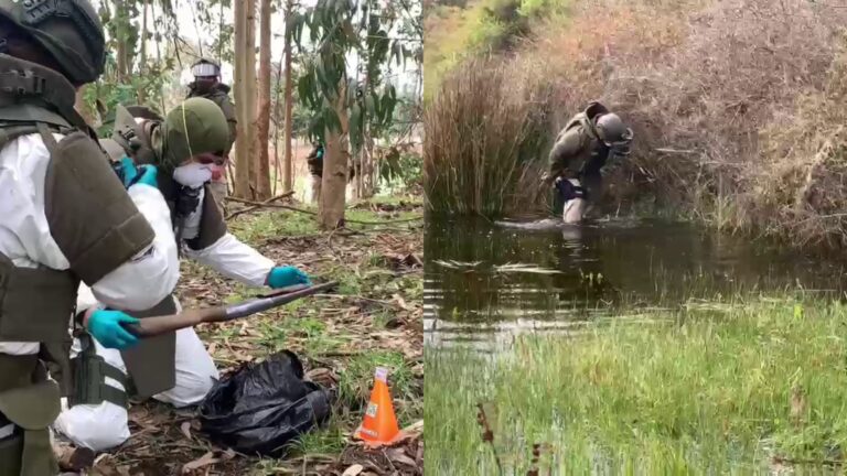 Descubren armas y material explosivo en la casa de prófugo buscado por triple homicidio de carabineros en Cañete