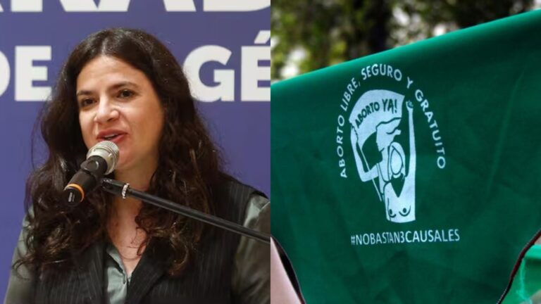 Ministra Orellana confirma que la Ley de Aborto será ingresada al Congreso en diciembre
