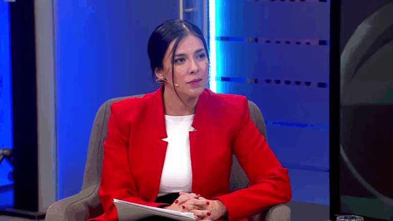 Cariola criticó necesidad de que el Estado subsidie alza del costo de la electricidad sin aporte de la industria