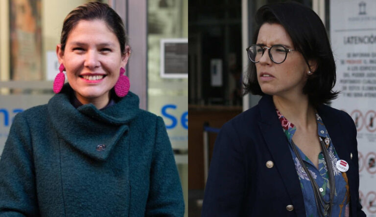 Las excusas de la directora de Sernameg por salida de Isabel Amor: 