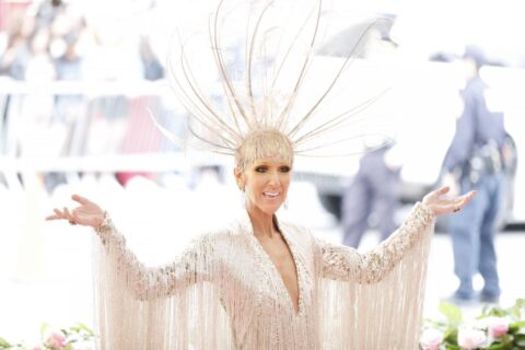 Celine Dion no quiere que canción de 