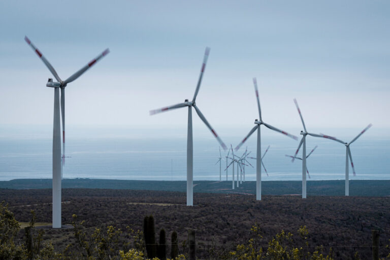 Diálogo entre parlamentarios chilenos y europeos para una transición energética sostenible