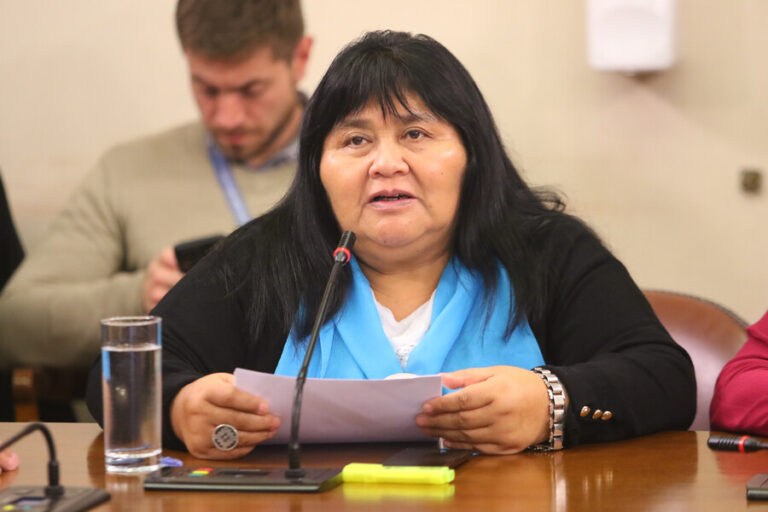 Diputada Nuyado arremete contra Boric y califica de 