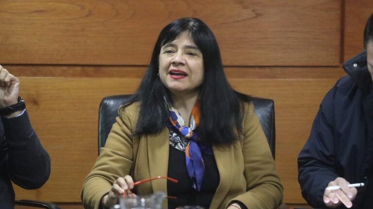 Superintendenta de la SEC: ENEL es ineficiente y no está preparada para manejar recursos en emergencias
