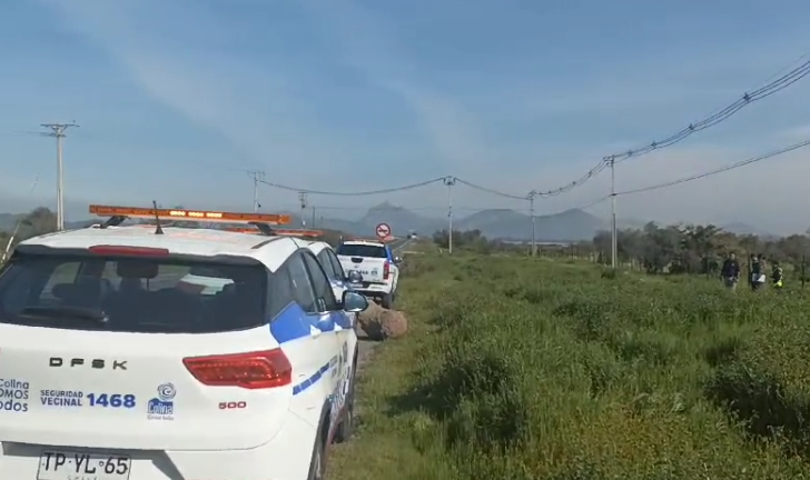 Reportan hallazgo de cráneo y osamentas humanas en pastizales de Colina