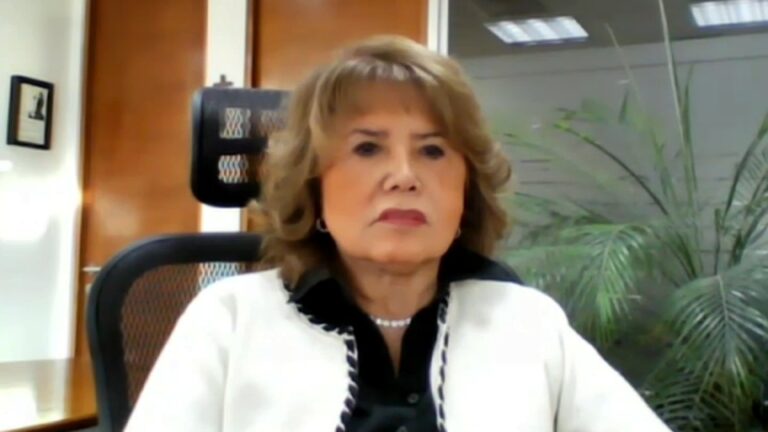 Gerenta de Energética y ultimátum por concesión de Enel: 