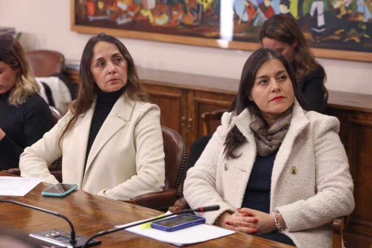Diputadas de la Comisión de Mujer critican polémico despido de Isabel Amor del SernamEG y piden su reincorporación