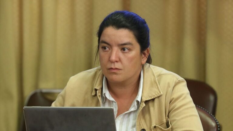 Tras estudio que revela alza de homicidios en O'Higgins: Diputada Romero exige plan de inteligencia y mayor dotación policial