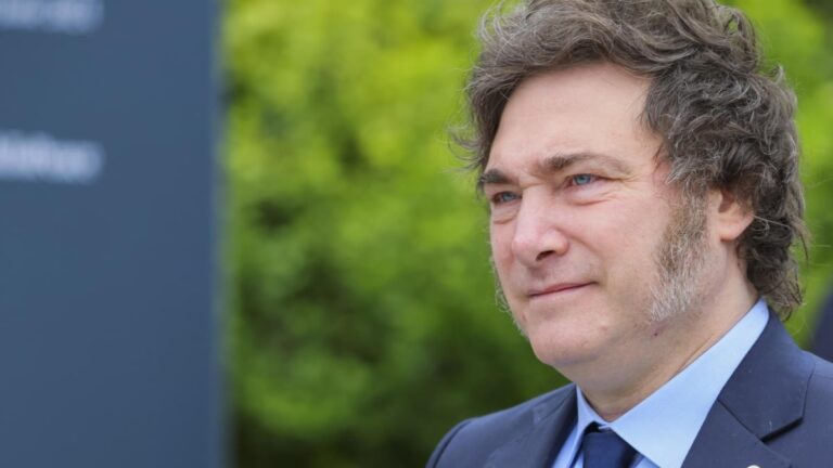 Gobierno de Milei disuelve unidad que investigaba desapariciones de niños durante la dictadura argentina