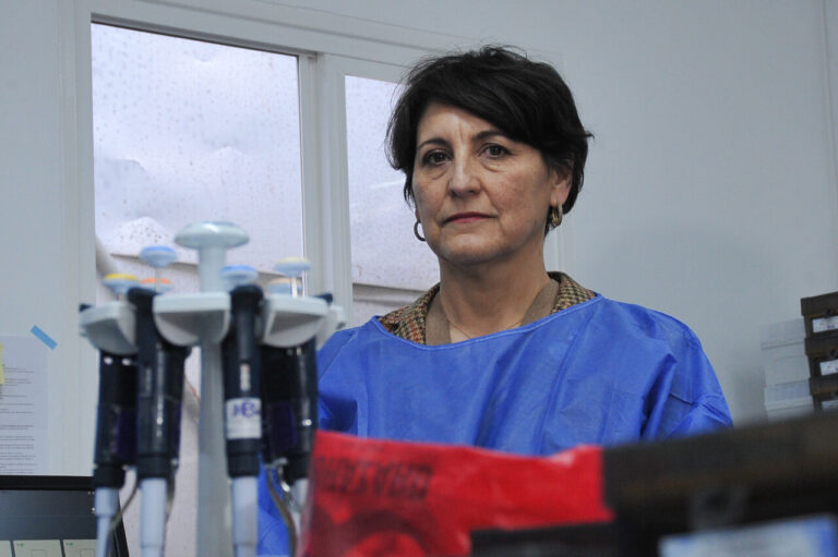 Ministerio de Salud celebra resultados de campaña de invierno 2024: Ningún menor de un año murió por virus respiratorios