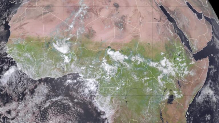 Un inusual cambio en el clima ha pintado de verde el desierto del Sahara