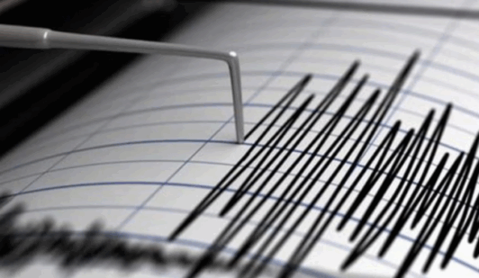 Tsunami de medio metro de altura alcanza islas al sur de Tokio tras un temblor de 5,9