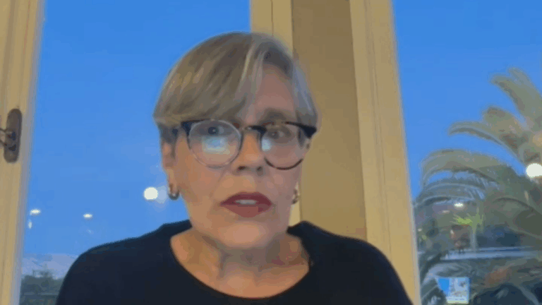 Diputada Fries responde a querella de Andrés Chadwick: 