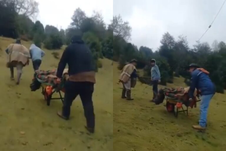 Panguipulli: Abren sumario tras caso de paciente que fue trasladado en carretilla hasta un consultorio