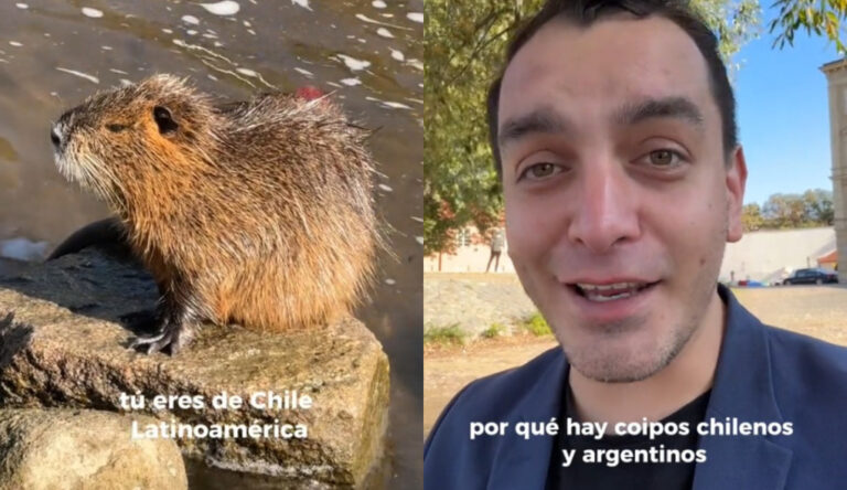 Periodista revela cómo llegaron coipos chilenos a República Checa: 