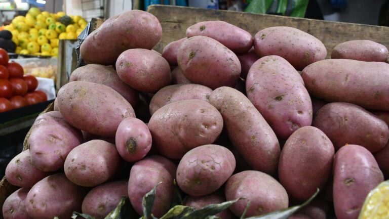 La papa sigue con un alto precio, pero ya sabemos cuándo volvería a la normalidad