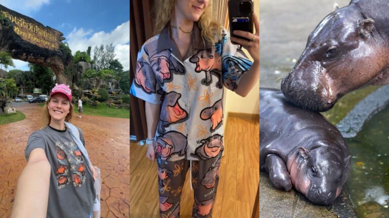 Mujer se obsesionó con hipopótamo pigmeo bebé Moo Deng y cruzó el planeta para conocerlo en persona