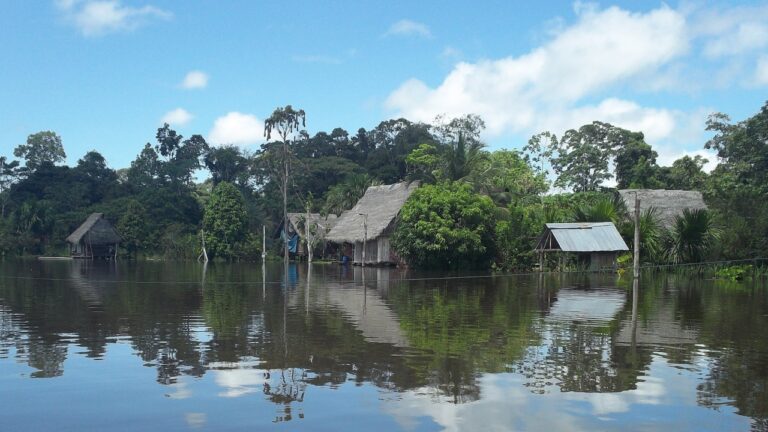 Energía nuclear: La propuesta de ministro peruano para llevar electricidad a zonas aisladas del Amazonas