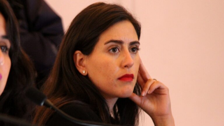 Ripamonti lamenta lenta reconstrucción por incendios: “Me da mucha lástima decirlo, porque es mi gobierno el que ha fallado”