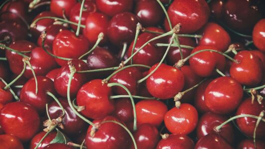 Cerezas en crisis: 140 millones de cajas podrían profundizar la caída de precios