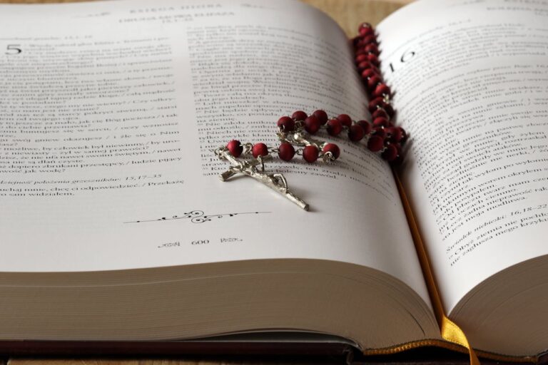 “Lo decimos con vergüenza”: Schoenstatt en Chile identifica a 8 sacerdotes que cometieron abusos y a 28 víctimas