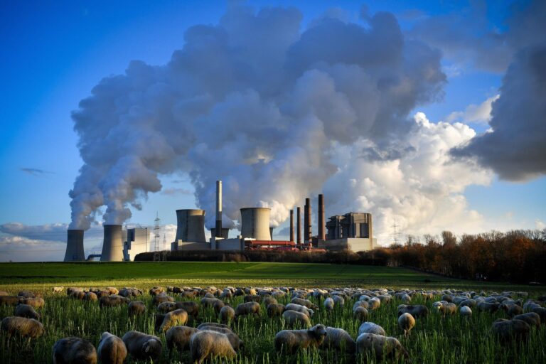 COP29 acuerda la creación de un mercado global de emisiones de carbono