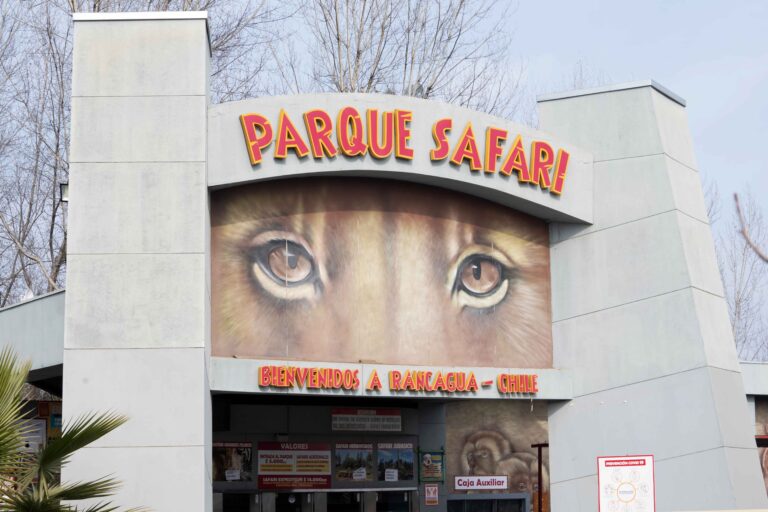 Condenan por cuasidelito de homicidio a dueño de safari en Rancagua tras fatal ataque de tigre que mató a trabajadora en 2021