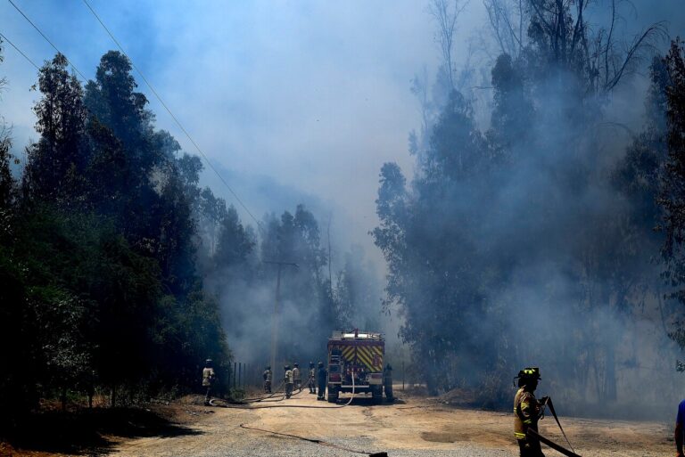Incendios forestales en comunas de las regiones de Valparaíso, Atacama y O’Higgins: Revisa el reporte
