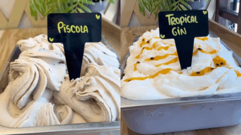 ¿Piscola o tropical gin? Heladería en Valdivia anuncia innovadores sabores de helado